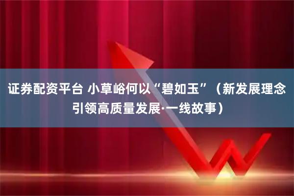 证券配资平台 小草峪何以“碧如玉”（新发展理念引领高质量发展·一线故事）